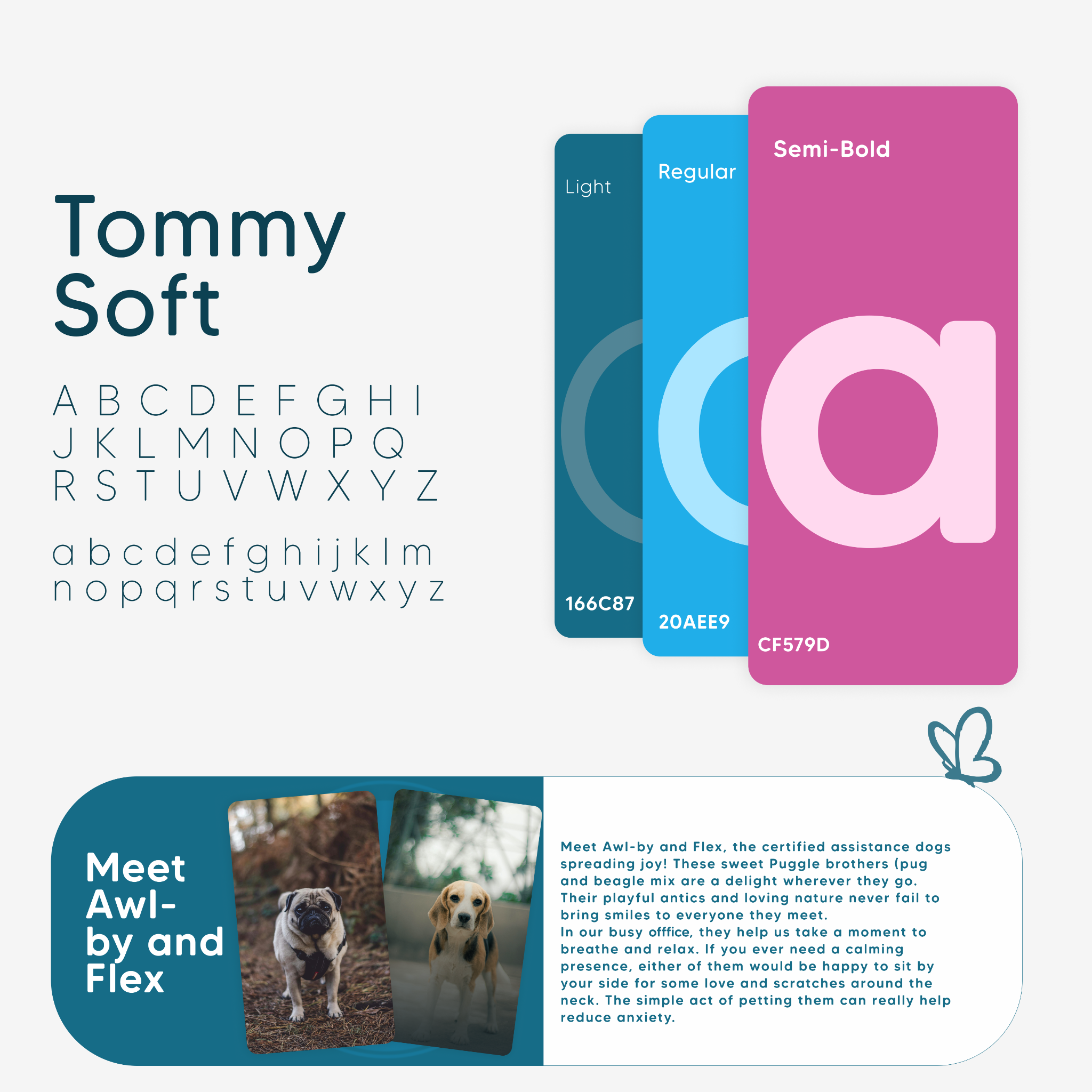 Riverpath typography and brand style board